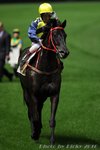 IMG1_031471