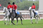 IMG1_031618