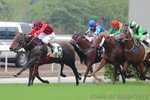 IMG1_031692