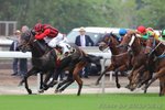 IMG1_031693