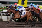 2011-3-23 R8 	非常好 JOLLY GOOD (L134)