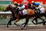 2010-6-5 R2 	飛躍之駒	RUMBA KING (M172)