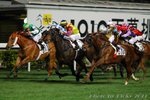 2011-1-5 R6 賀喜 FOREVER ELATION (K215)