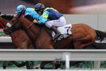 2011-2-21 R5 非常好 JOLLY GOOD (L134)