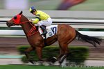 2011-2-21 R10 人人興旺FAT CHOY OOHLALA (L250)