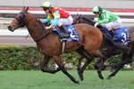 2011-3-20 R8	雄心威龍 AMBITIOUS DRAGON (K399) 香港一級賽 - 2000米
ＭＥＲＣＥＤＥＳ－ＢＥＮＺ香港打吡大賽２０１１