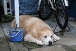 IMG_0009