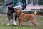 IMG_8718