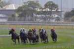 IMG1_034979