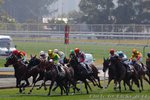 IMG1_034982