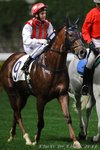 IMG1_035258