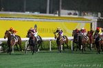 IMG1_035398