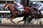 2010-5-10 R7 	精算拍檔 	GILDED FLIGHT (H294)