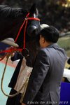 IMG1_036671