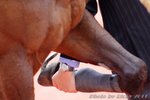 IMG1_036740