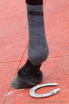 IMG1_036746