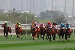 IMG1_036823