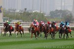 IMG1_036824