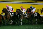 IMG1_037361