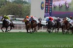 IMG1_038044