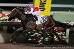 2011-4-13 R8 	相見歡	HAPPY REUNION (K163)