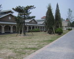 京城馬&amp;#28377; (24)