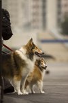 IMG_2358