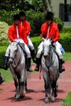 IMG1_042066