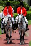 IMG1_042067