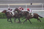 IMG1_042461