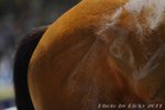 IMG1_042631