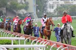 IMG1_020336