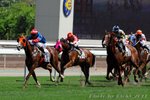 IMG1_042786