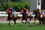 IMG1_042787