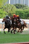 IMG1_042877