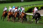 IMG1_043025