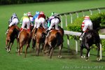 IMG1_043026