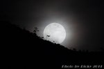IMG1_043097