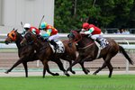 IMG1_043474