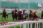 IMG1_043644