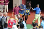 IMG1_044413