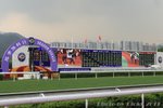 IMG1_044439