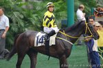 IMG1_044479