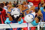 IMG1_044811