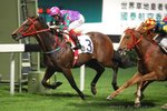 20111130 R3 名馬  GLORY HORSIE (M273)
