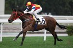 20120115 R5 	育成王子 G-ONE WINNING (M392)