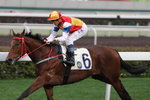 20120310 R10 育成王子 G-ONE WINNING (M392)
