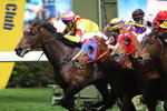 20120314 R6 明興寶寶LUCKY WARRIOR (M292)