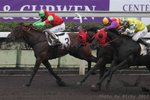 20120115 R3 	都靈一號 	TURIN CHAMPION (M060)