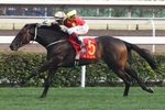 20120219 R8 續領風騷 ZAIDAN (M234)香港一級賽 - 1800米 ＭＥＲＣＥＤＥＳ－ＢＥＮＺ香港經典盃
